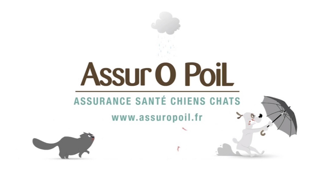 actu_29386_vignette_alaune