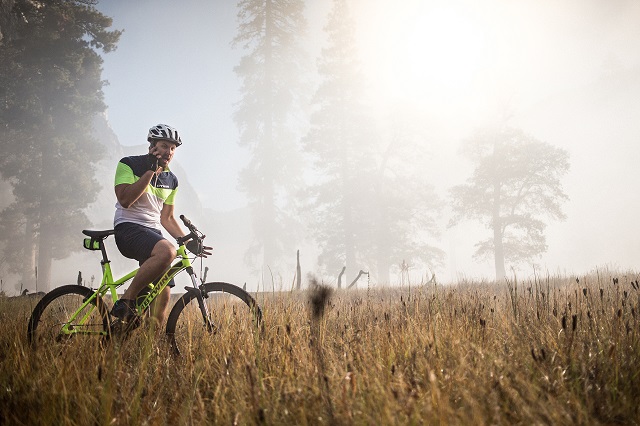 actu_31137_vignette_alaune actu_31137_vignette_alaune