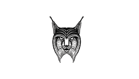 actu_31244_vignette