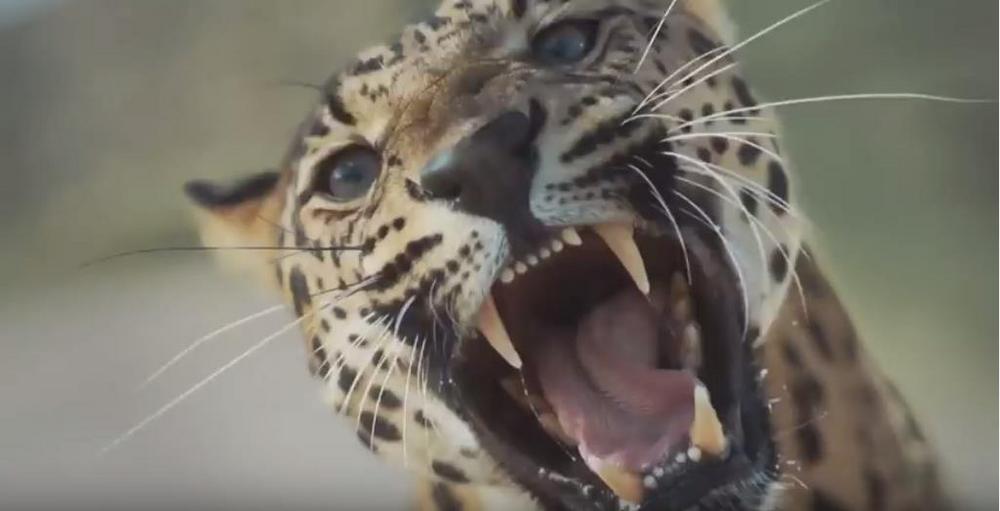 actu_31958_vignette_alaune actu_31958_vignette_alaune