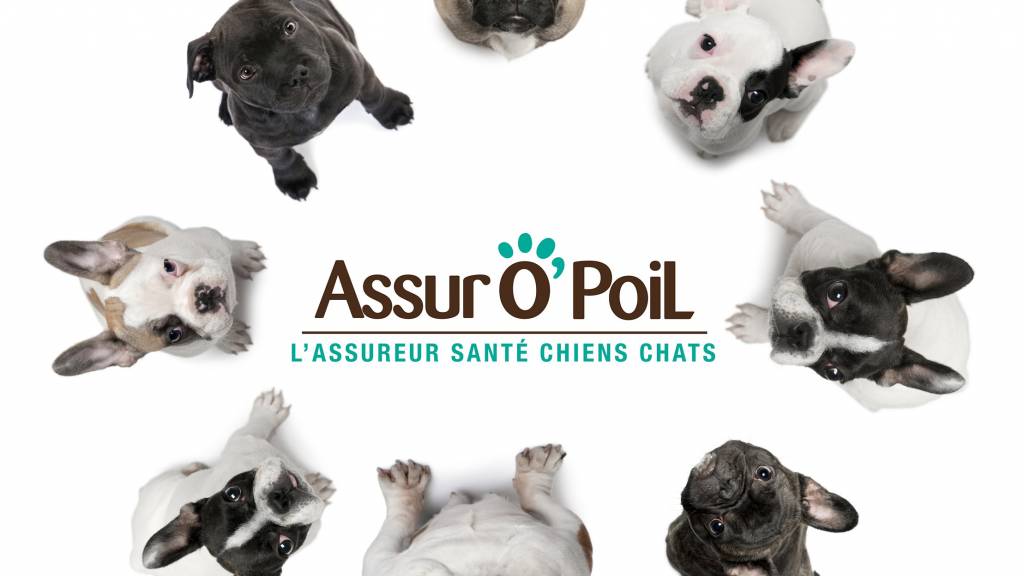 Assur O’ Poil