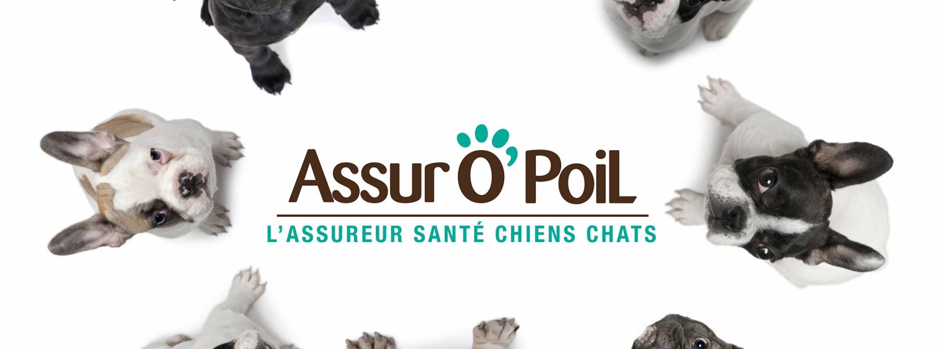 Assur O’ Poil Assur O’ Poil