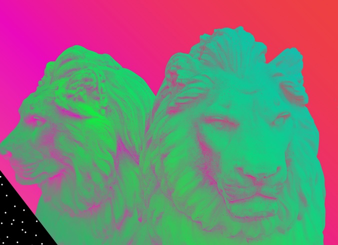 lion