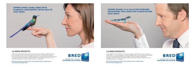 bred recrutement