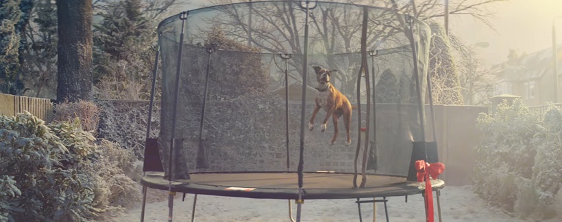 John Lewis chien John Lewis chien