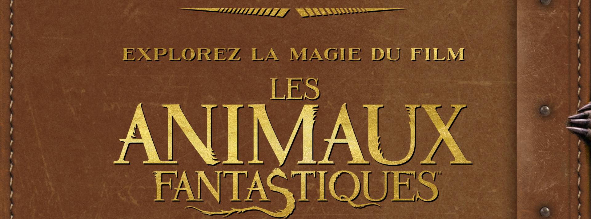 FRANCE_FB_COB_cover_france