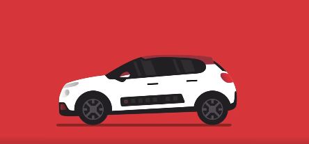 citroen c3 pull de noel