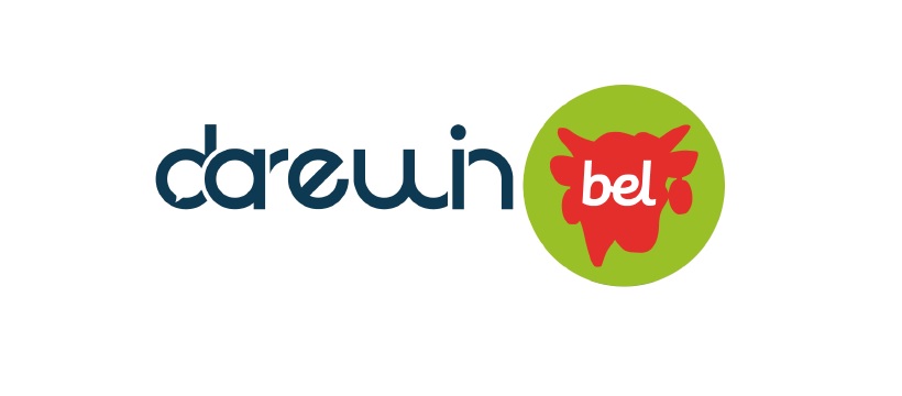 darewin bel