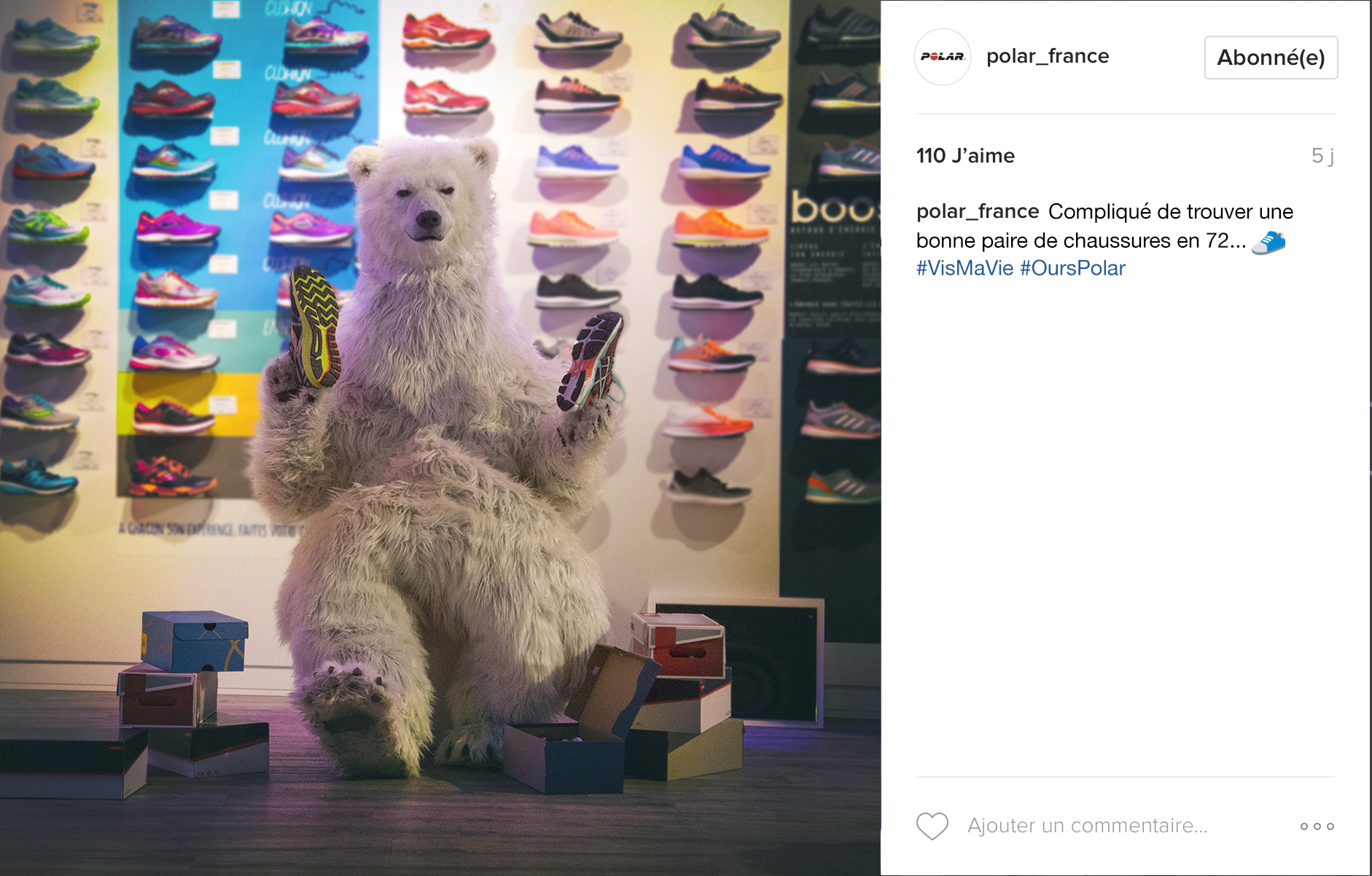 Basket-Polar