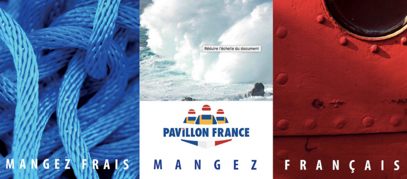 display pavillon france