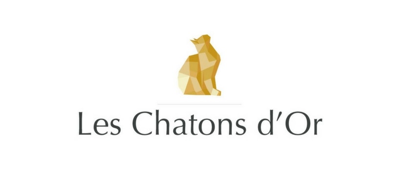chatons-or chatons d'or