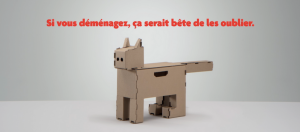 chat en carton