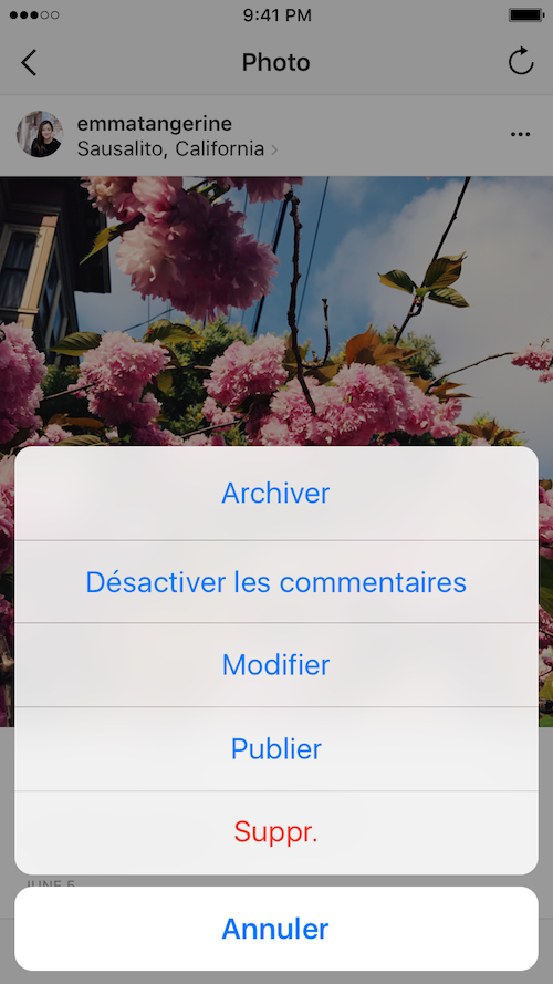application instagram