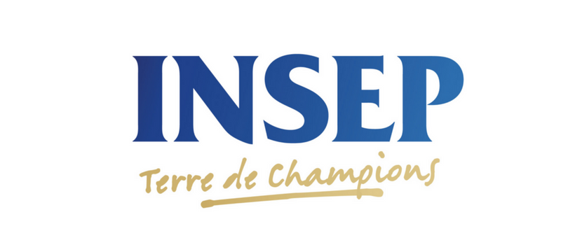 logo insep