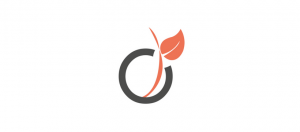 viadeo logo