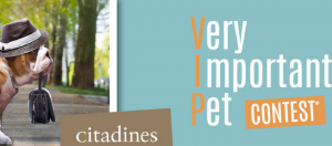 affiche citadines pet contest