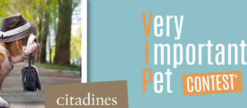 citadines pet contest affiche citadines pet contest