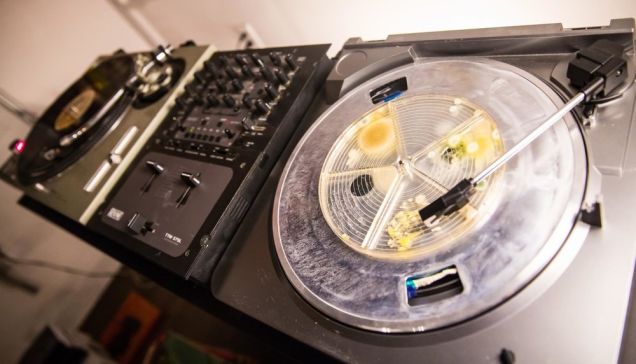 Biota Beats