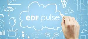 EDF Pulse logo