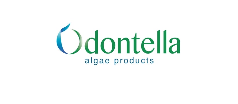 Odontella logo Odontella logo