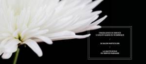 Fleur affiche du cercle parnasse