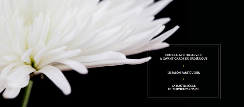 Le Cercle Parnasse Fleur affiche du cercle parnasse