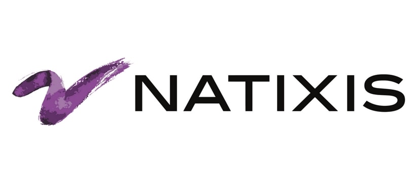 Natixis Logo Logo de Natixis