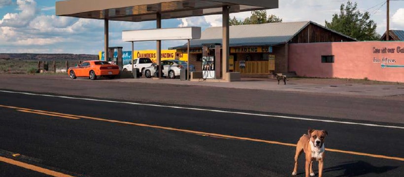 ArtPhotoLimited photo vendue par artphotolimited