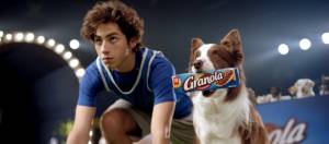 concours dagilite canin avec un humain