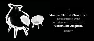 image de mouton noir avec grosfillex