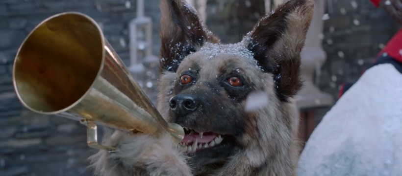 chien avec un porte voix