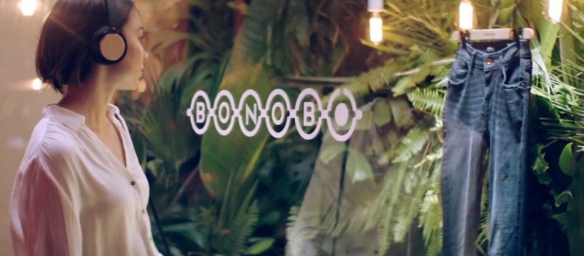 Bonobo femme devant un jean