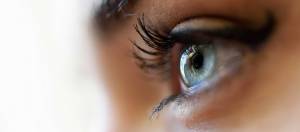 oeil