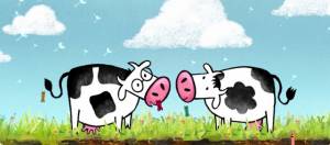 les 2 vaches