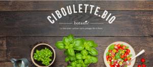 ciboulette