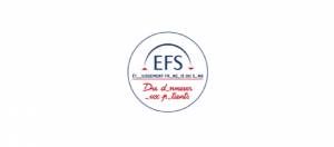 logo EFS avec lettres manquantes