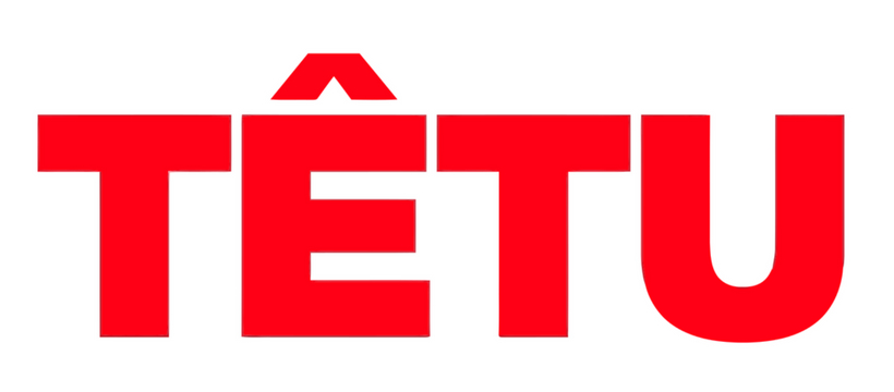 logo-tetu logo du magazine têtu
