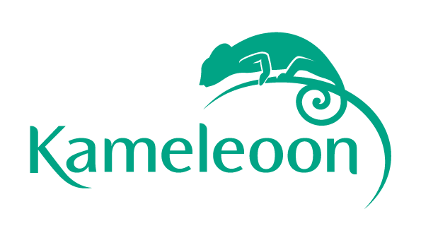 logo_kameleoon_jade-green logo_kameleoon_jade-green