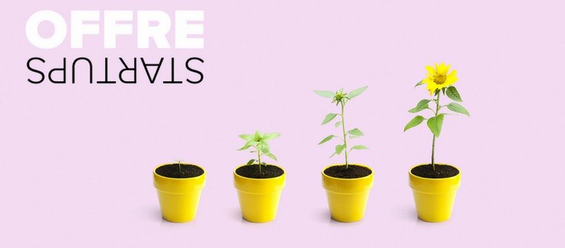 hungry-foolish hungry and foolish startup