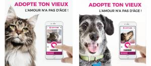 purina