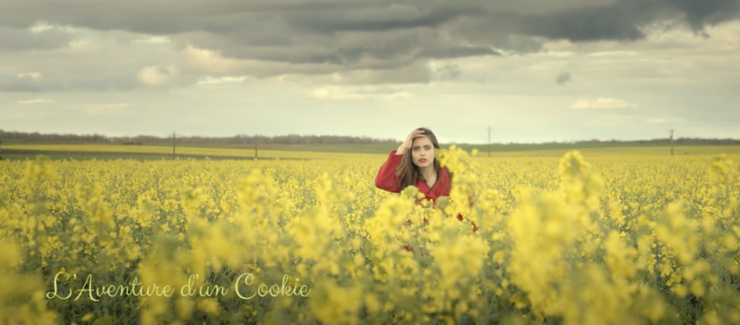 aventure d'un cookie