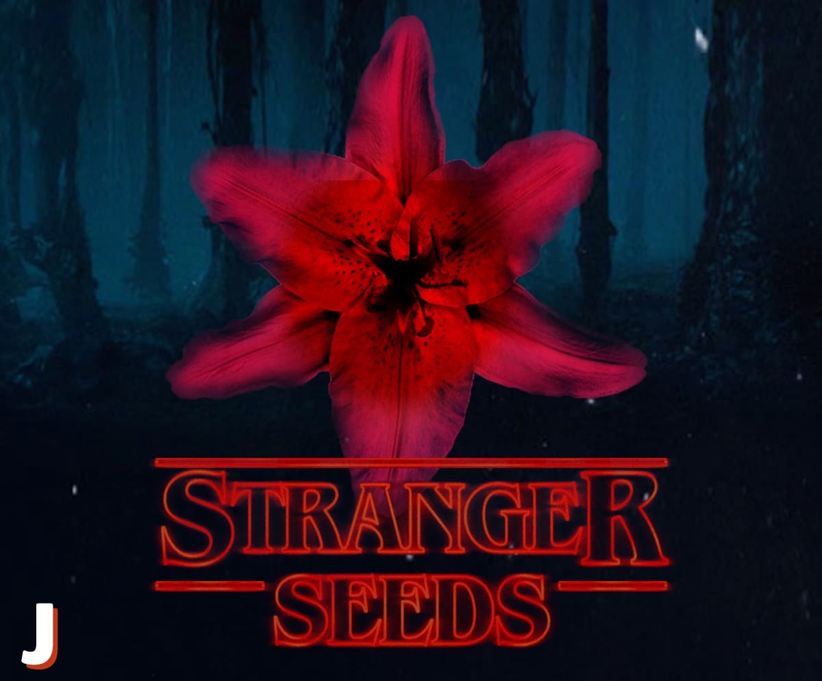 jardiland