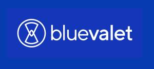 Blue Valet logo