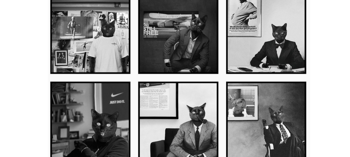 We Are Social raconte l'histoire de la publicité Chat Instagram