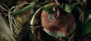 Fruit et asticot