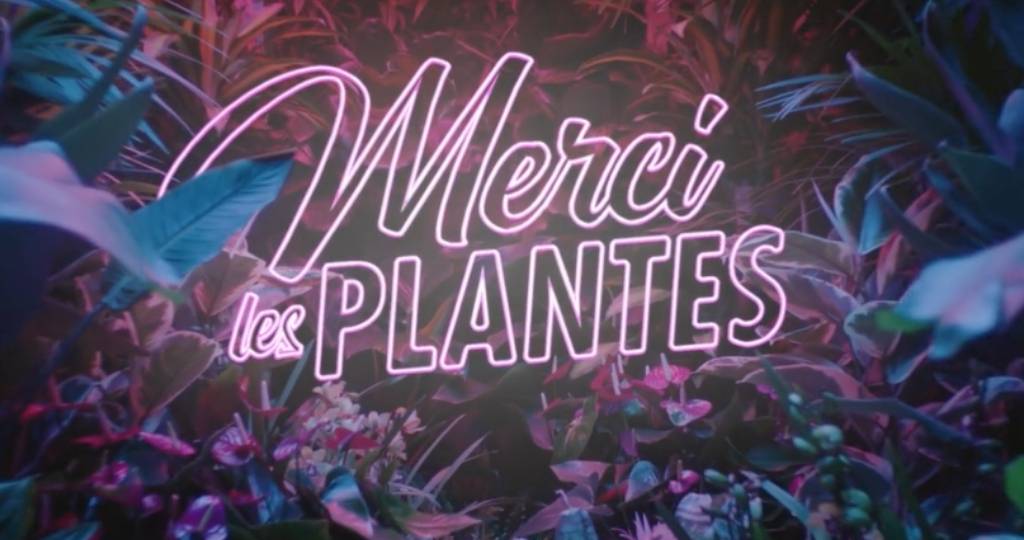 Merci les plantes