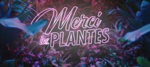 Merci les plantes