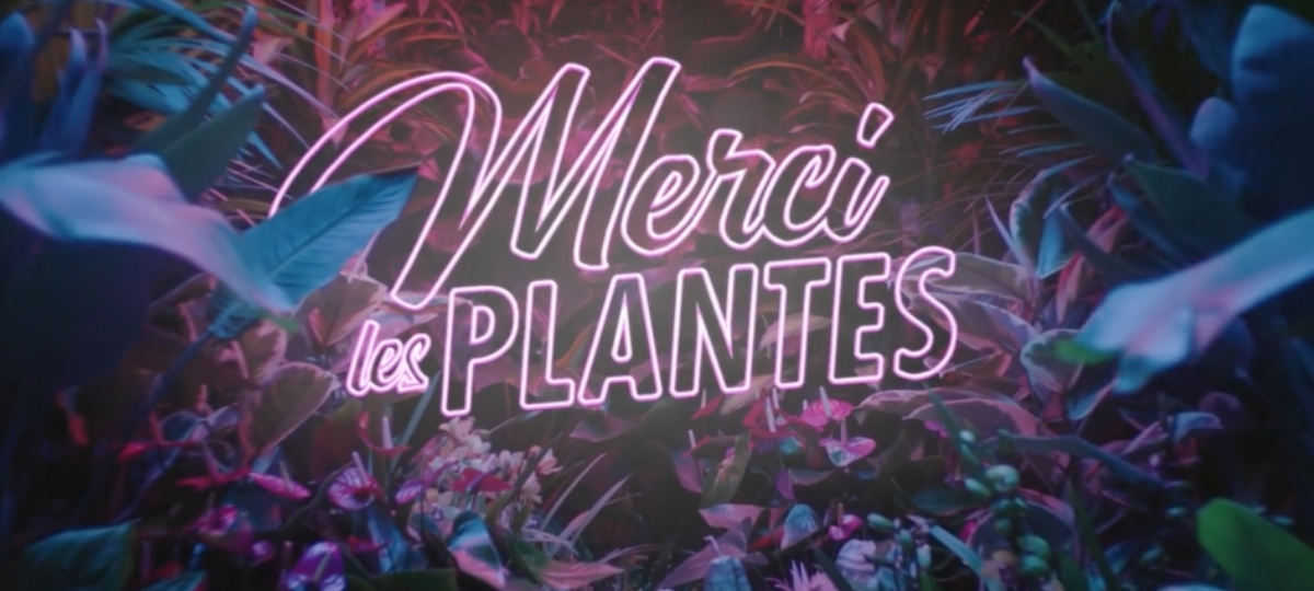180 Kinsday dit merci aux plantes Merci les plantes
