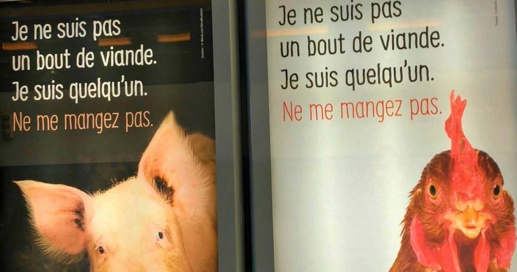 Affiches PETA