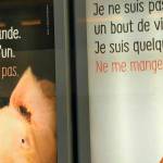 Affiches PETA